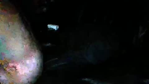 slideitin96 online show from 30, 1, 2025