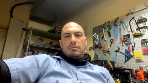 More more more online show from 31, 1, 2026