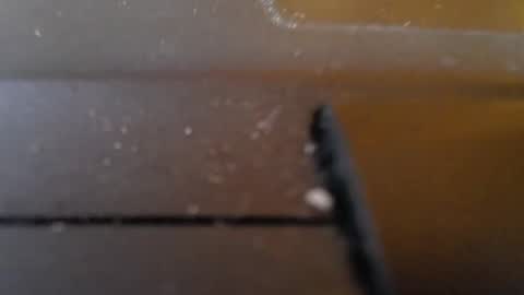 Snapshot of slimy_cunt chatting on 29, 1, 2025 Jemila online show from 29, 1, 2025