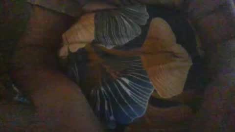 Snapshot of slothslav chatting on 18, 12, 2024 slothslav online show from 18, 12, 2024