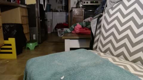 Snapshot of slum_daddy chatting on 30, 11, 2025 Slum Daddy online show from 30, 11, 2025