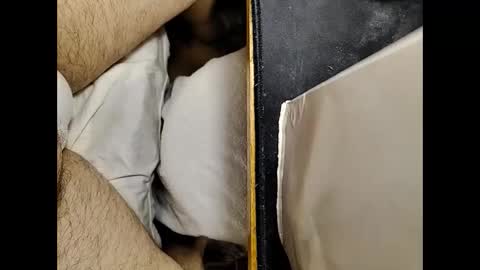 transmisin gratuita bajo demanda  free broadcast on demand online show from 25, 2, 2025