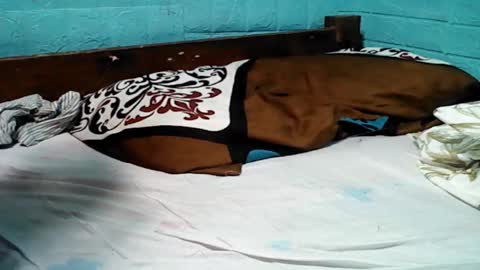 jess online show from 7, 2, 2025