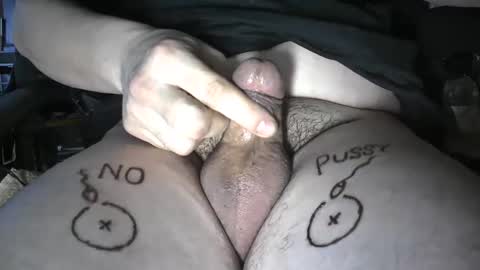 pussyfree4eva online show from 16, 2, 2025