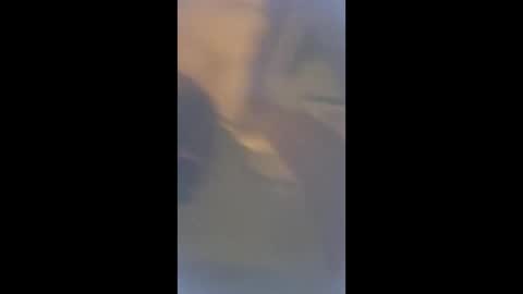 Snapshot of smcock68 chatting on 3, 3, 2026 smcock68 online show from 3, 3, 2026