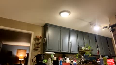 Snapshot of smokeymt420 chatting on 9, 2, 2025 smokeymt420 online show from 9, 2, 2025