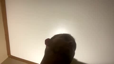 Snapshot of smokeymt420 chatting on 8, 3, 2025 smokeymt420 online show from 8, 3, 2025