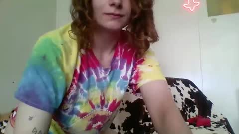 Bambi--Vodka online show from 2, 5, 2026