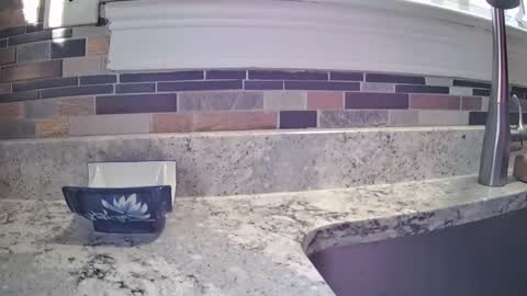 smthbtm53 online show from 14, 3, 2026