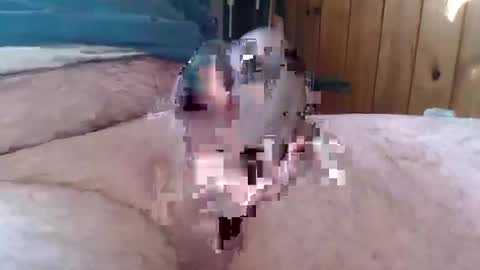 Snapshot of sn0man69 chatting on 6, 1, 2025 sn0man69 online show from 6, 1, 2025