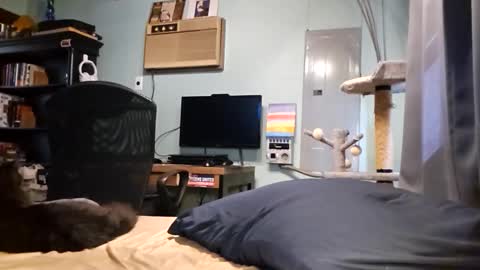 Snackyyyy online show from 17, 3, 2026