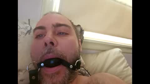 snarkymarks online show from 17, 12, 2025