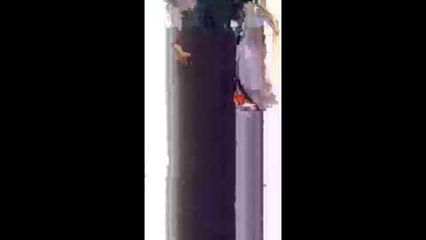 snowballkyut online show from 22, 3, 2026