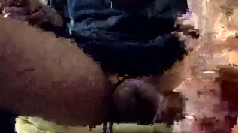 Snapshot of snowdaddy777 chatting on 7, 1, 2026 Lets play n party online show from 7, 1, 2026