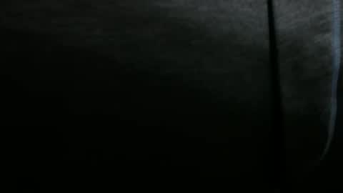 Snapshot of snuffalufagus chatting on 20, 12, 2024 Adam online show from 20, 12, 2024