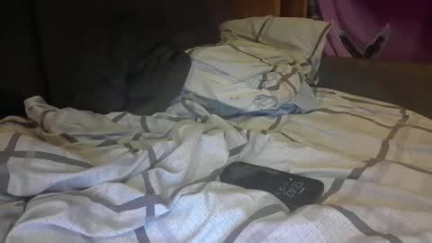 Snapshot of socalislandguy chatting on 4, 3, 2026 PaulyBigD online show from 4, 3, 2026