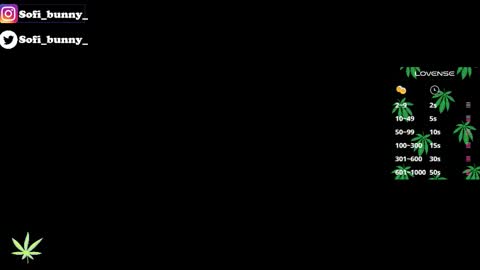 soffi_bunny_ online show from 8, 1, 2026