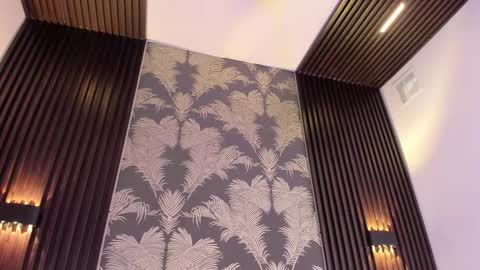 SOFIA online show from 6, 2, 2026