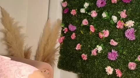 Snapshot of sofia_laverde chatting on 15, 1, 2026 Sofi online show from 15, 1, 2026