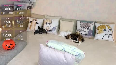 Mia online show from 31, 10, 2025