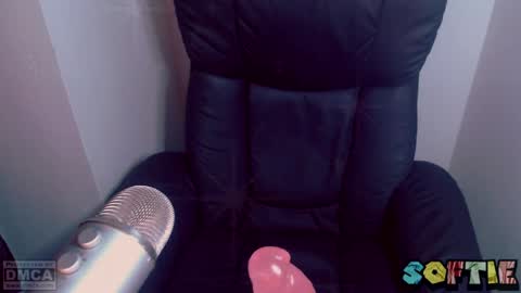 Snapshot of soft_serv chatting on 25, 3, 2026 Softie 3 online show from 25, 3, 2026