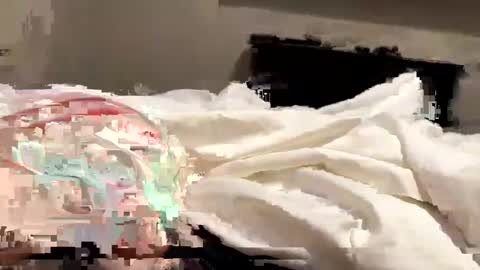 softslickandsweet online show from 4, 2, 2025