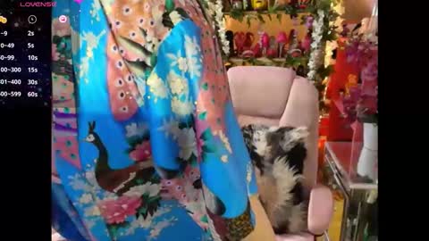 Snapshot of solesticia chatting on 3, 2, 2026 solesticia online show from 3, 2, 2026