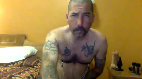 Snapshot of sontoddy chatting on 19, 12, 2024 Ryan online show from 19, 12, 2024