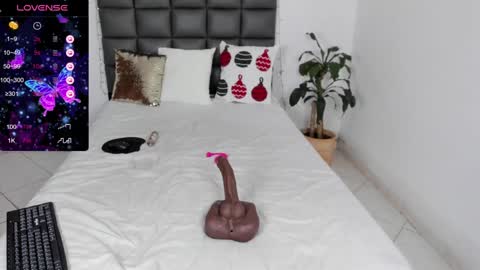 Snapshot of sophia_clark1 chatting on 2, 12, 2024 SOPHIA CLARK1 online show from 2, 12, 2024