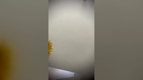 sophie_smith19 online show from 15, 3, 2026