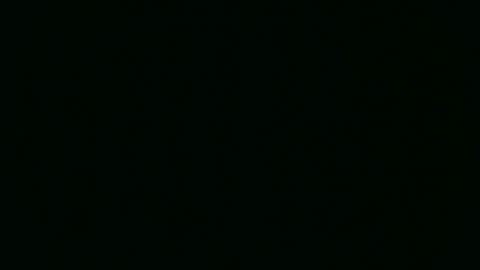 southdbd online show from 27, 3, 2026