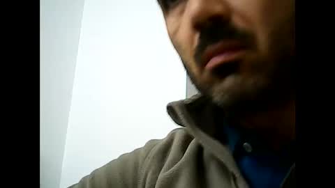 Speed online show from 3, 12, 2024