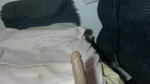 spenser online show from 7, 4, 2026