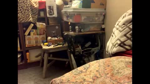 Snapshot of spermdoner23 chatting on 10, 11, 2025 spermdoner23 online show from 10, 11, 2025
