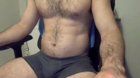 spirit__bear online show from 26, 1, 2025