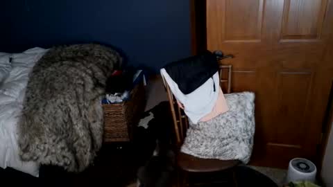 Spun Redneck online show from 31, 3, 2026