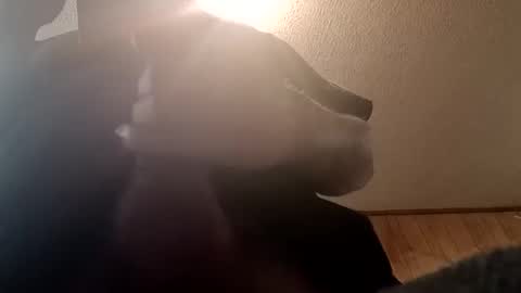 spundsrt online show from 24, 2, 2025