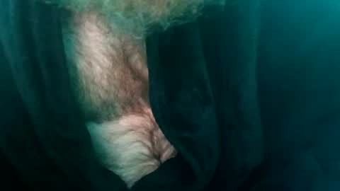 spunfuncumming online show from 10, 7, 2026
