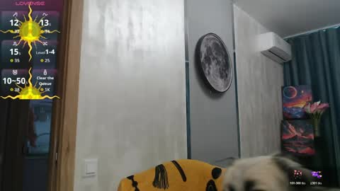 STACY online show from 28, 5, 2026
