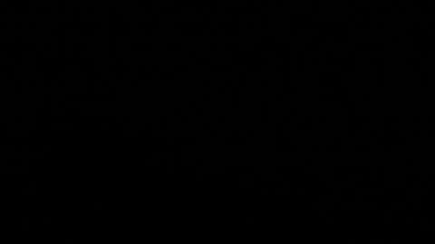 Stacy  online show from 8, 11, 2025