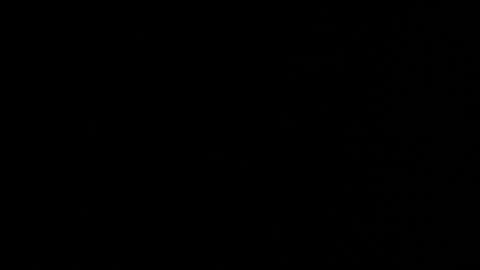 Stacy  online show from 27, 3, 2026