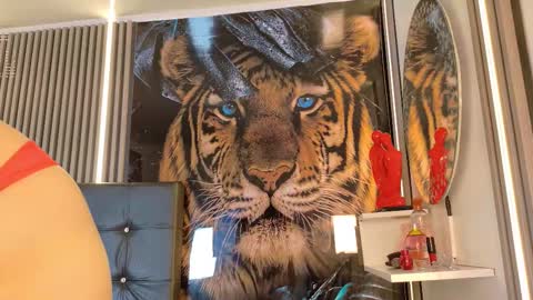 startevans online show from 14, 3, 2026