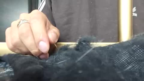 Katalleya and Steban online show from 11, 1, 2025