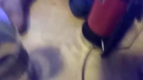 anube krato online show from 19, 10, 2025