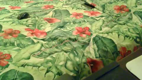 Rocco-load online show from 18, 12, 2025