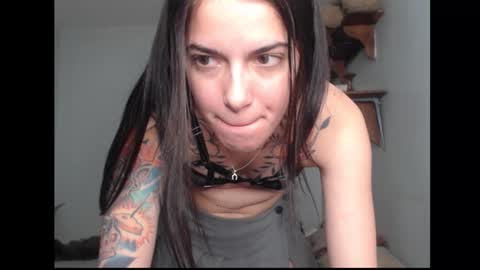 Snapshot of stella_art chatting on 17, 2, 2026 Stella online show from 17, 2, 2026