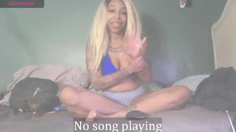 Stella Clitella online show from 11, 4, 2026