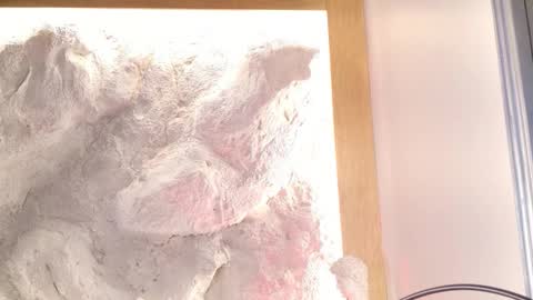 S T E L L A online show from 28, 2, 2026