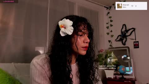 stellart_ online show from 29, 12, 2024