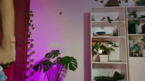 stellart_ online show from 20, 11, 2025